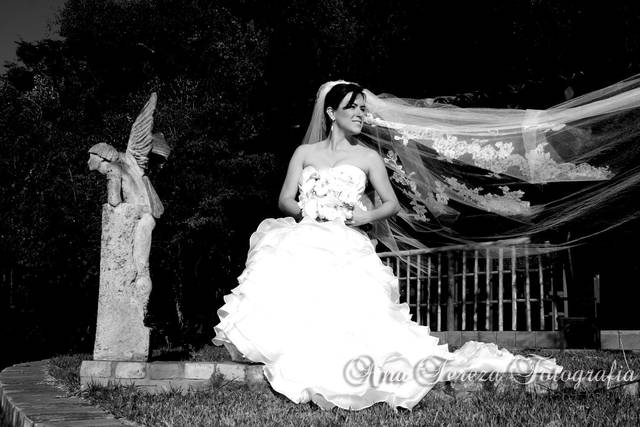 Ana Tereza Fotografias