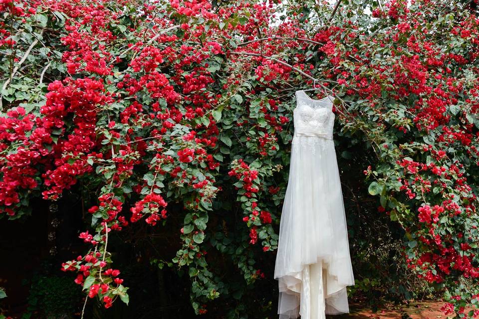 Vestido - Amai Fotografia