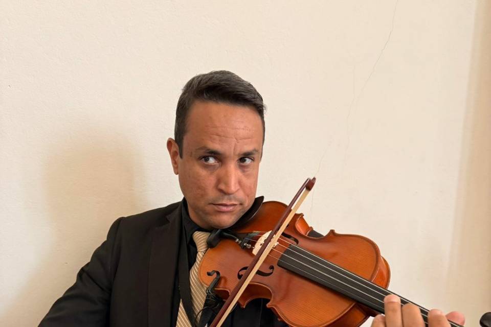 Violino