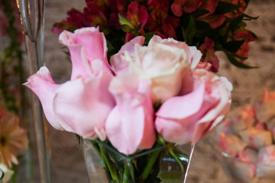Flores para decoração
