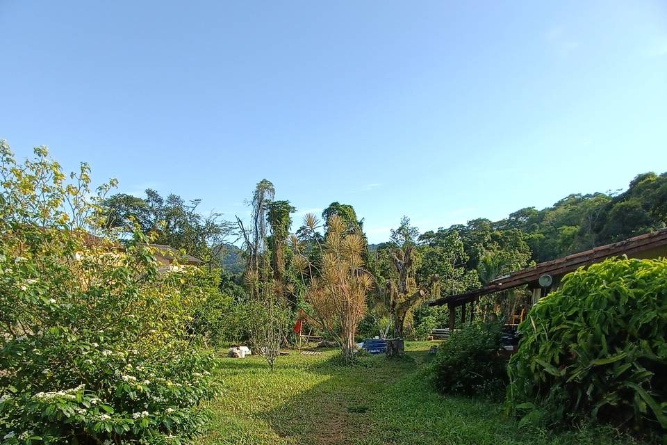 Jardim