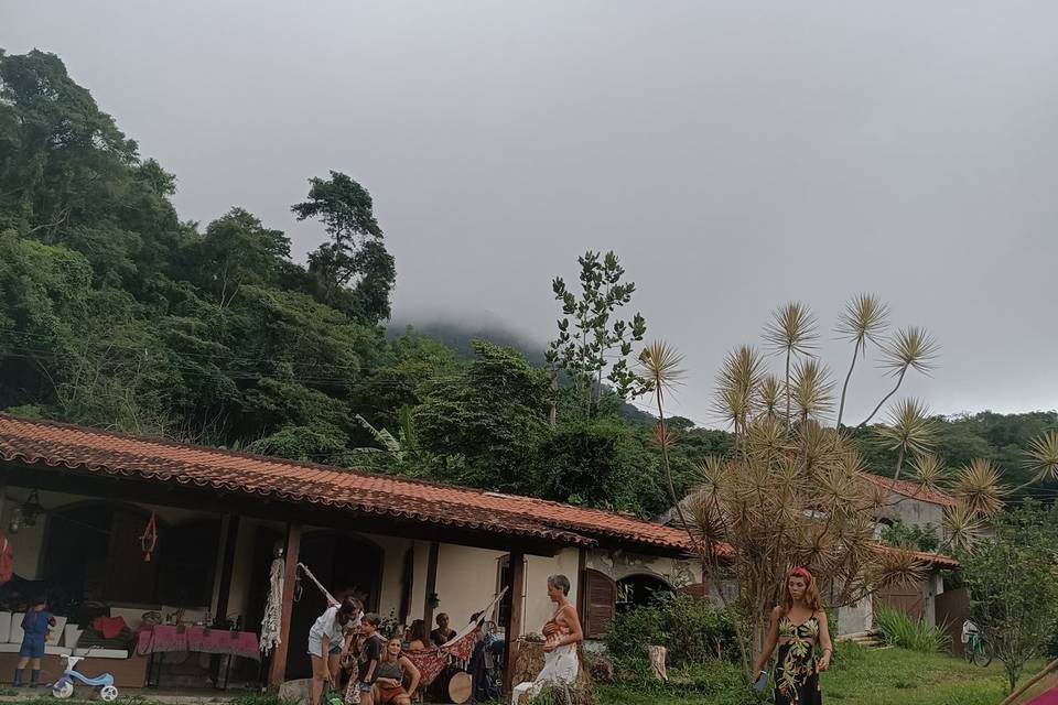 Jardim