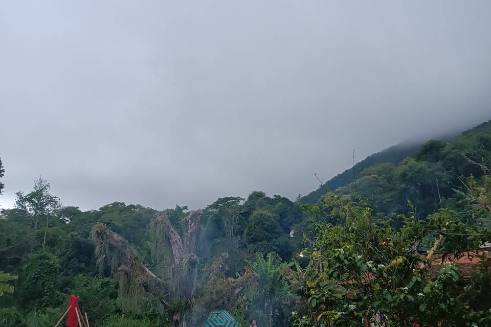Jardim