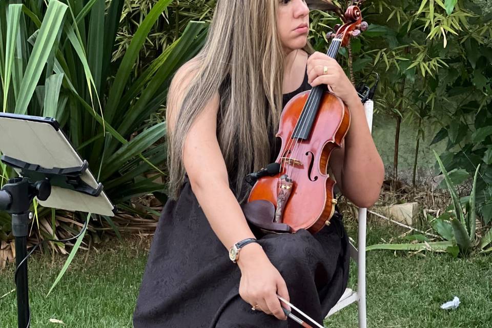 Violinista