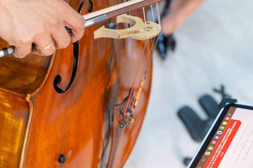 Cello