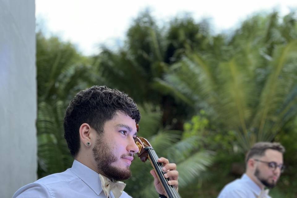 Violoncelo - Henrique