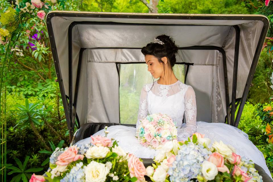 Thiago Pereira Fotografia