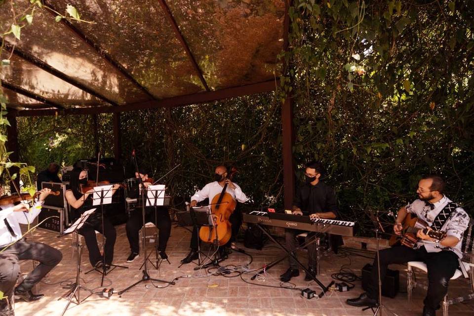 Quarteto + piano e violão