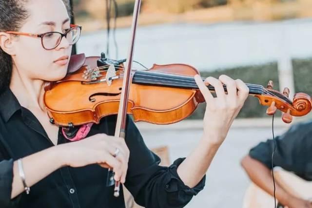 Violino