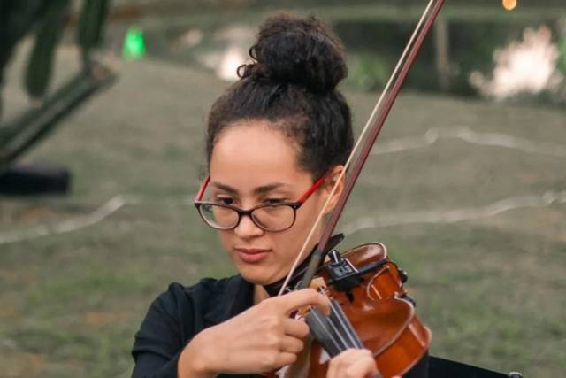 Músico violinista
