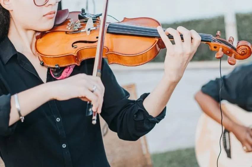 Violino