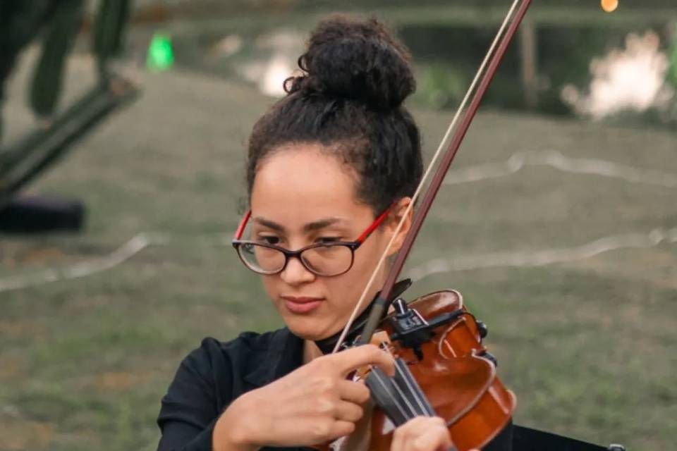 Músico violinista