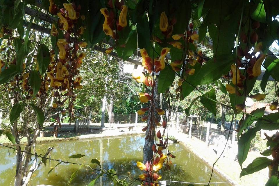 Recanto Jardim Silvestre