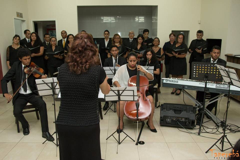 Tocante Centro Musical