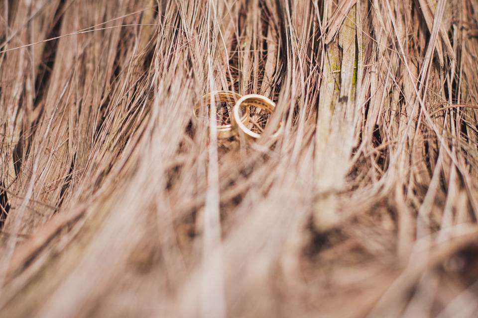 Casamento - Antônio Prado