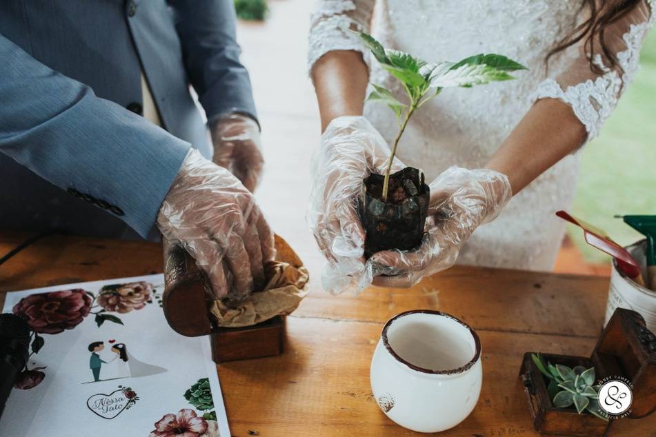 Casamento ao ar livre