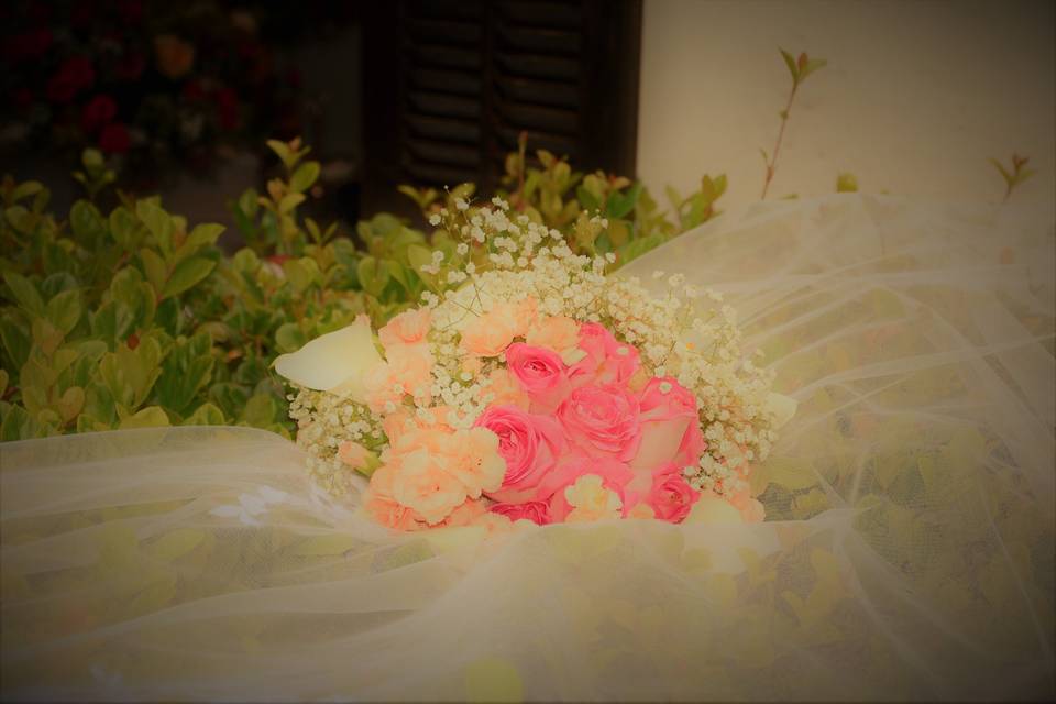 Black Studios Oficial