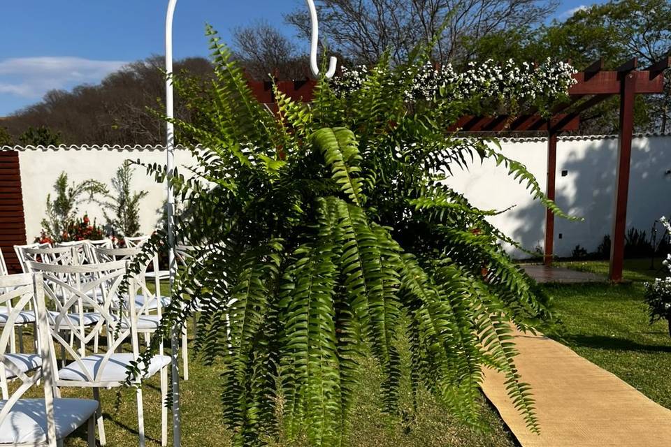 Muito verde para esperança