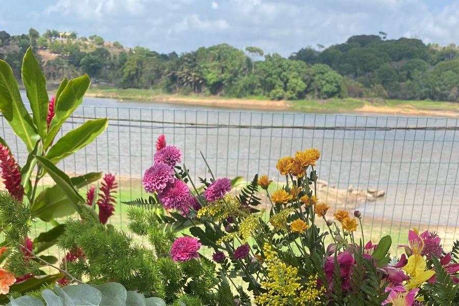 Doces florais
