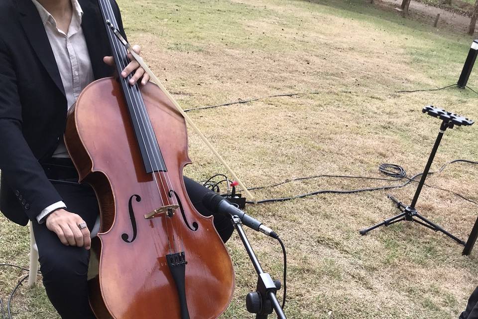 Sonorização de casamento