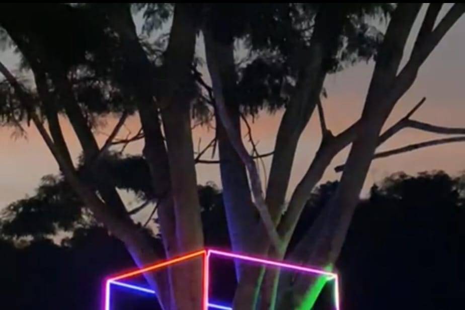 Cubo de led neons flex