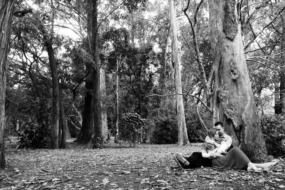 E-session