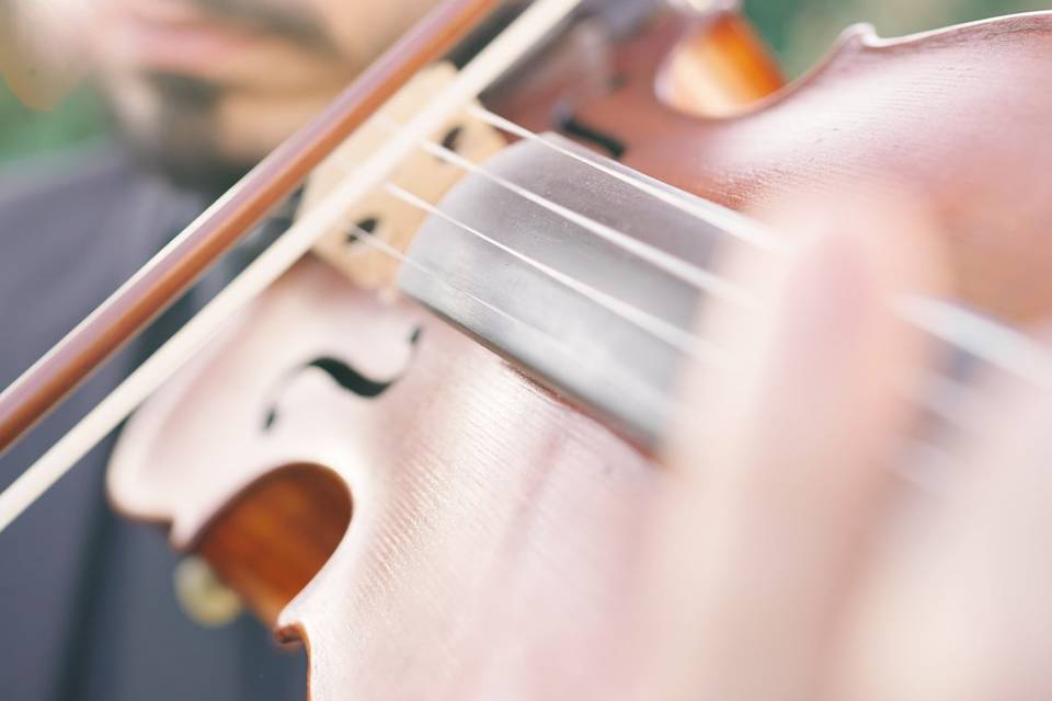 Cantaarte