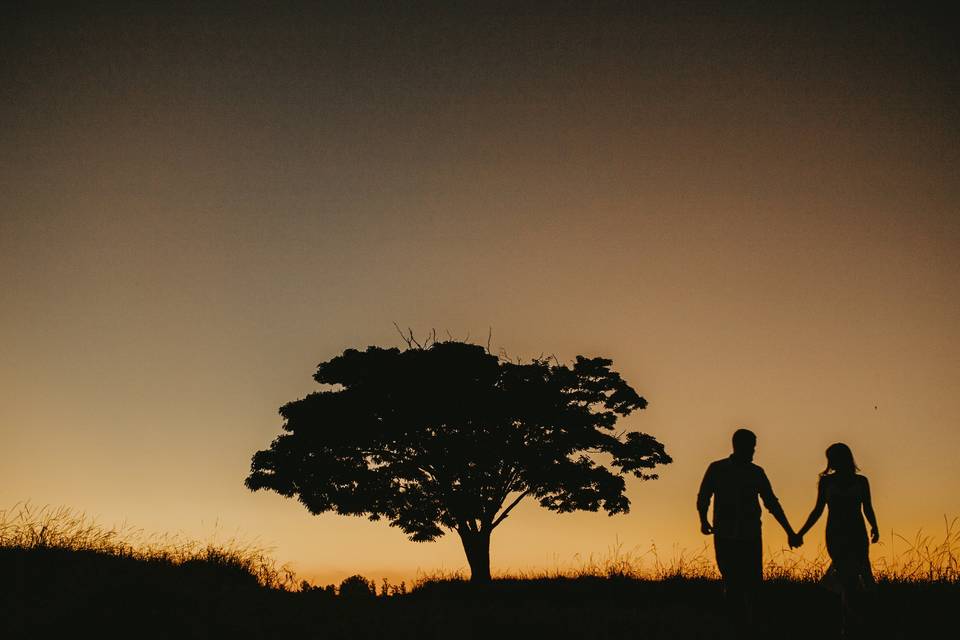 Tadeu Mafra Fotografia