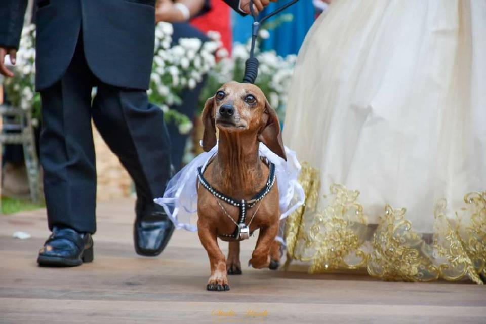 Casamento Luzi e Fabrinio