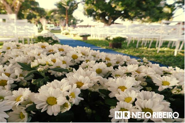 Trabalho Fotográfico