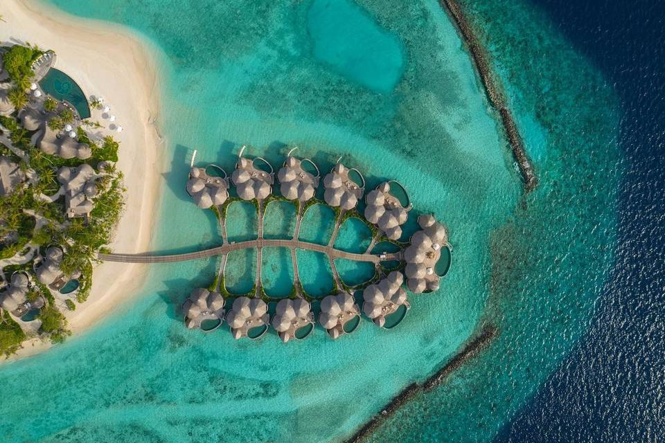 Lua de Mel Maldivas
