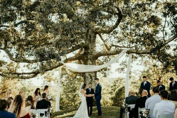 Wedding.
