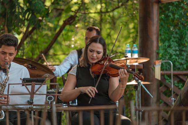 Violinista