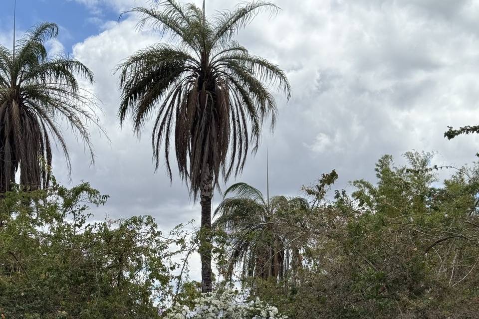 Sitio chua