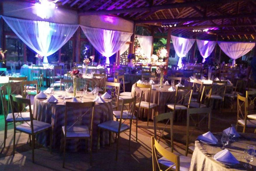 Minha Predileta Decoração & Eventos