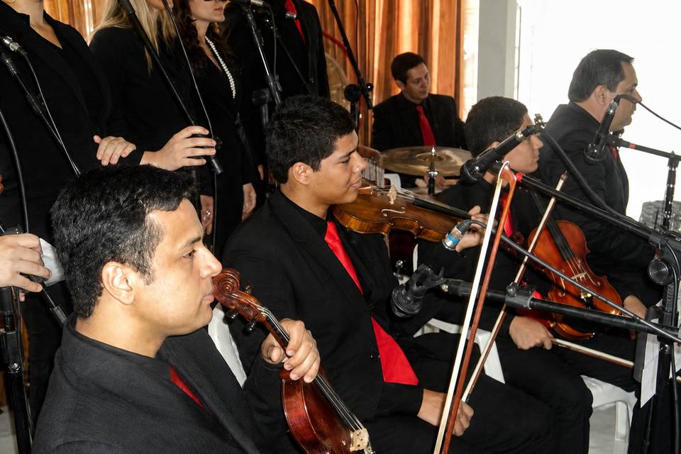 Grupo vocal e instrumental do Musicale
