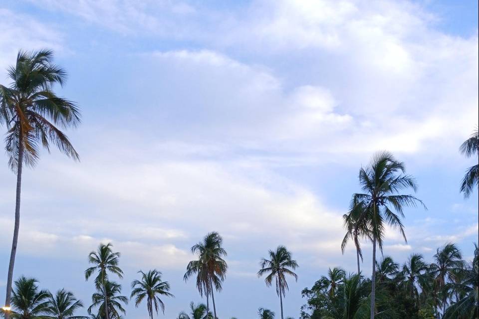 Pintura de cerimônia