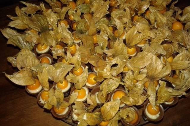 Copinho de physalis