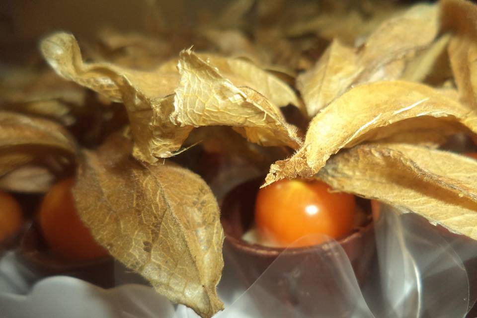 Copinho de physalis