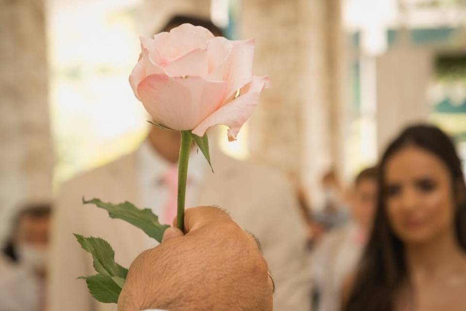 Dinâmica das flores