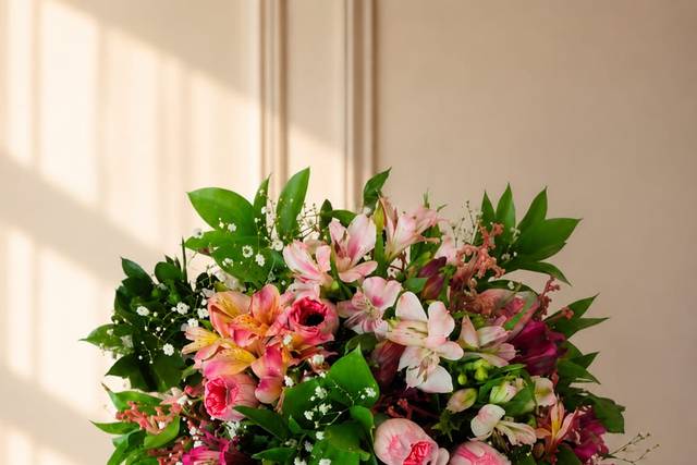 Faias Flores