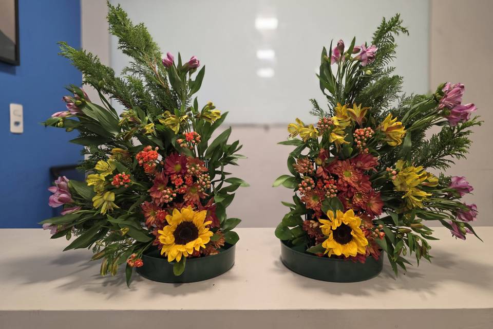 Faias Flores