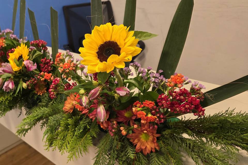 Faias Flores