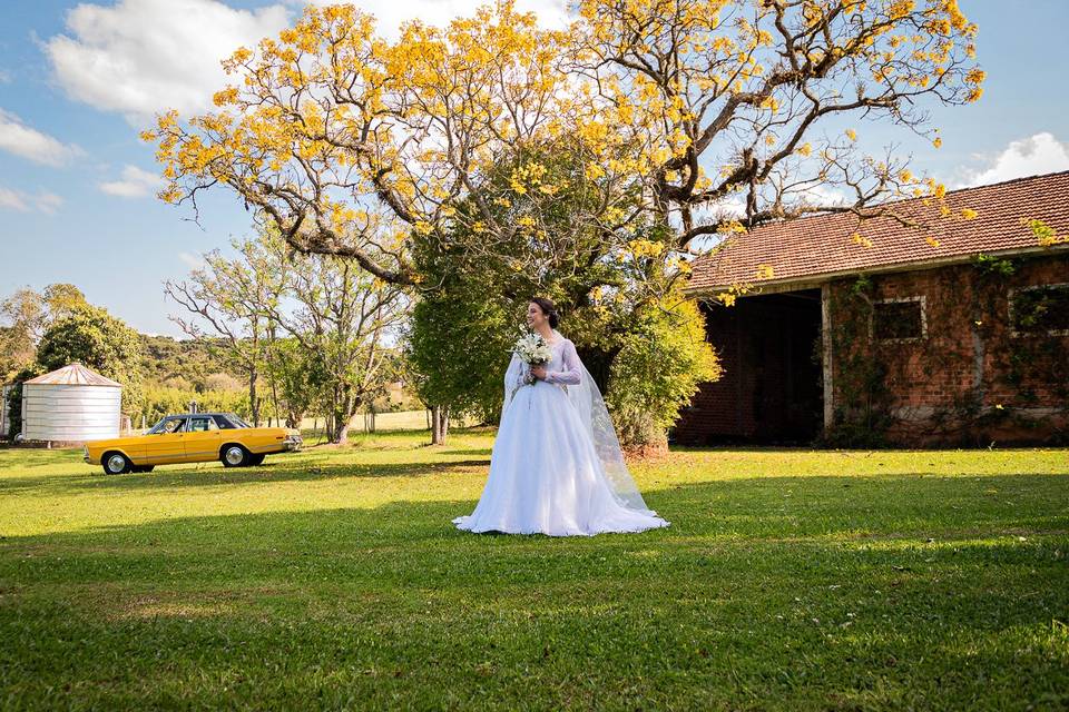 Maria & Vinicius