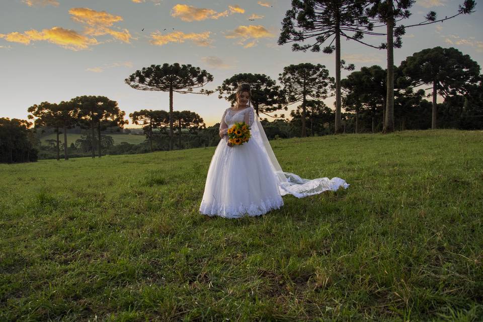 Casamento Araucaria