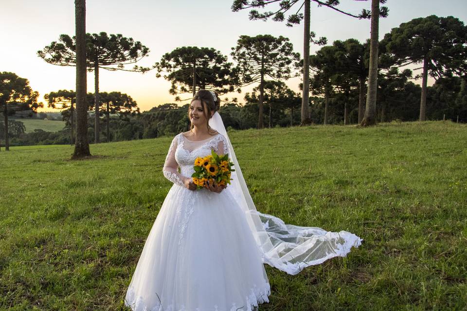 Casamento Araucaria