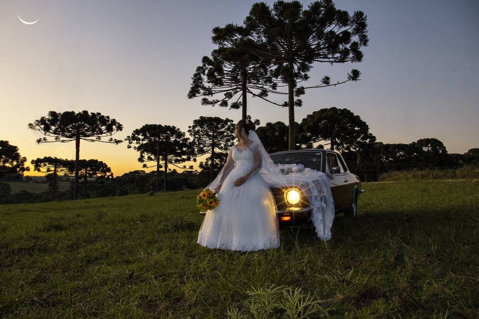 Casamento Araucaria