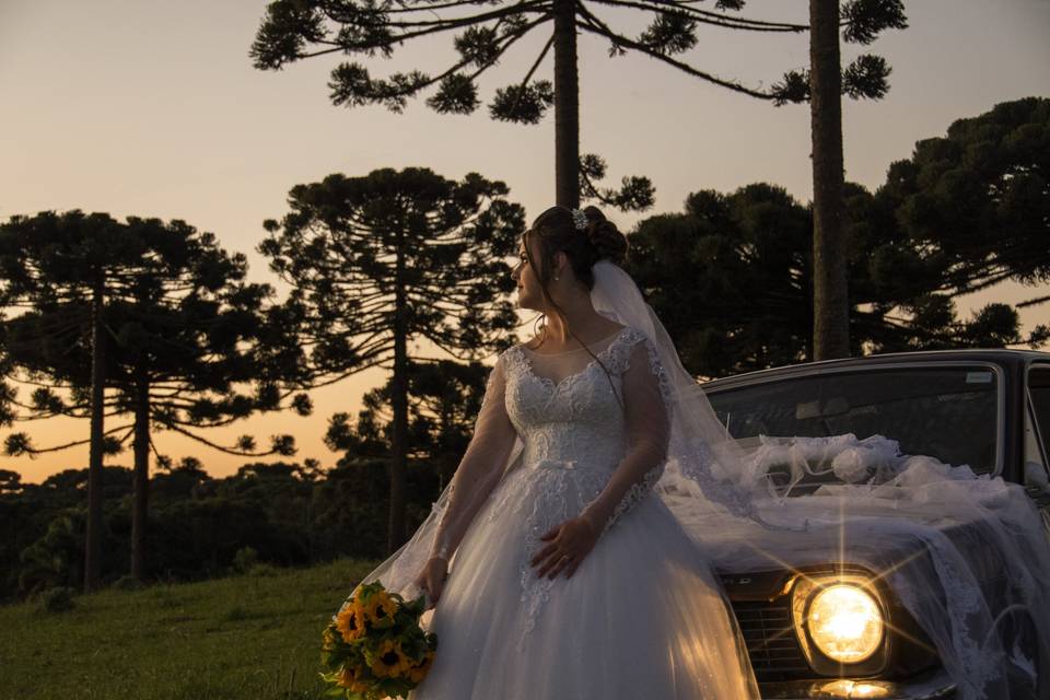 Casamento Araucaria