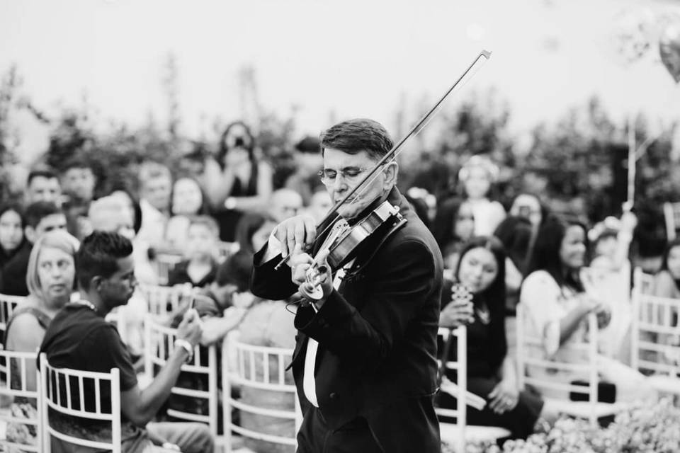 Violinista