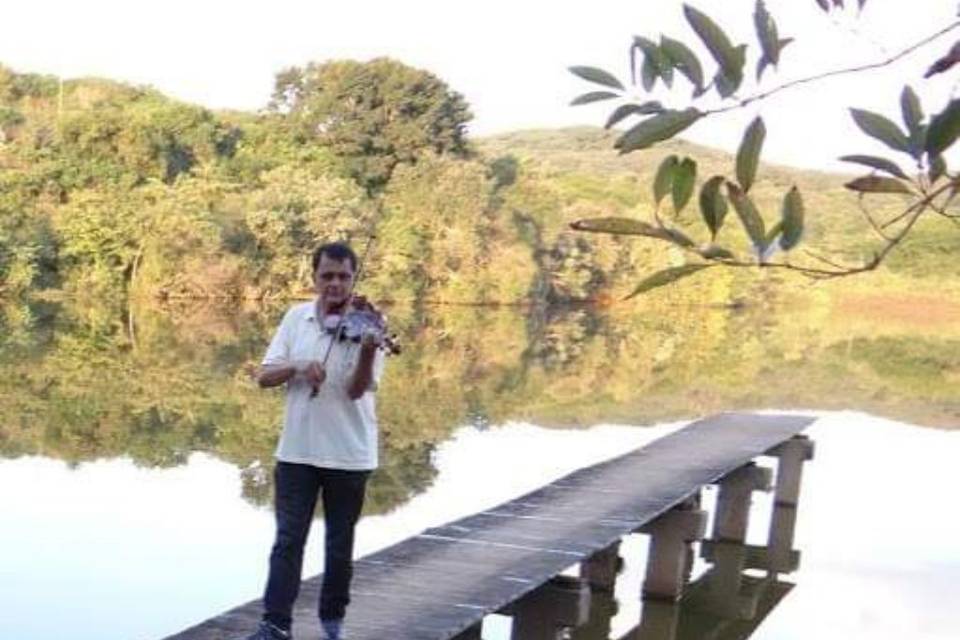 Violinista